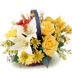 Aspiring Autumn. An arrangement by Avenue Flowers and Gifts.