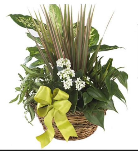 Serenity Gardens. An arrangement by Avenue Flowers and Gifts.