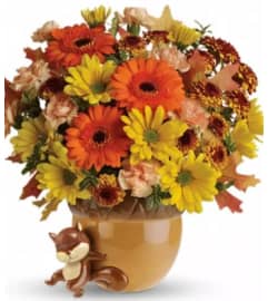 Go Nuts!. An arrangement by Avenue Flowers and Gifts. Go Nuts!. An arrangement by Avenue Flowers and Gifts.