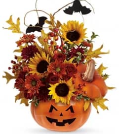 It's a Trick. An arrangement by Avenue Flowers and Gifts. It's a Trick. An arrangement by Avenue Flowers and Gifts.