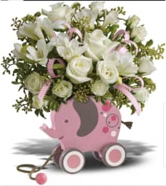 Baby Elephant Girl. An arrangement by Avenue Flowers and Gifts. Baby Elephant Girl. An arrangement by Avenue Flowers and Gifts.