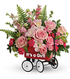 Baby Girl Firts Wagon. An arrangement by Avenue Flowers and Gifts. Baby Girl Firts Wagon. An arrangement by Avenue Flowers and Gifts.