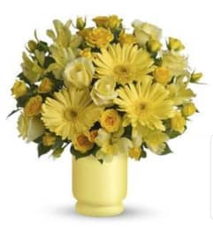 Sunny Forever. An arrangement by Avenue Flowers and Gifts. Sunny Forever. An arrangement by Avenue Flowers and Gifts.