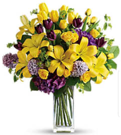 Equinox. An arrangement by Avenue Flowers and Gifts. Equinox. An arrangement by Avenue Flowers and Gifts.
