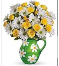 yellow rose and happy Daisy pitcher. An arrangement by Avenue Flowers and Gifts. yellow rose and happy Daisy pitcher. An arrangement by Avenue Flowers and Gifts.