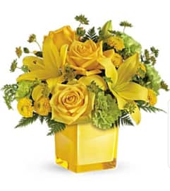 Flight of the Canary. An arrangement by Avenue Flowers and Gifts. Flight of the Canary. An arrangement by Avenue Flowers and Gifts.