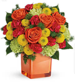 Citrus Twist. An arrangement by Avenue Flowers and Gifts. Citrus Twist. An arrangement by Avenue Flowers and Gifts.