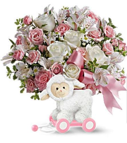 Little Lamb Girl. An arrangement by Avenue Flowers and Gifts.