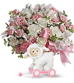 Little Lamb Girl. An arrangement by Avenue Flowers and Gifts. Little Lamb Girl. An arrangement by Avenue Flowers and Gifts.