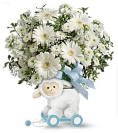 Little Lamb Boy. An arrangement by Avenue Flowers and Gifts. Little Lamb Boy. An arrangement by Avenue Flowers and Gifts.