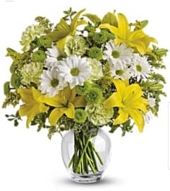 Fields of Ireland. An arrangement by Avenue Flowers and Gifts. Fields of Ireland. An arrangement by Avenue Flowers and Gifts.