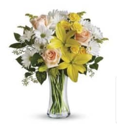 Sunbeams and Daisies. An arrangement by Avenue Flowers and Gifts. Sunbeams and Daisies. An arrangement by Avenue Flowers and Gifts.