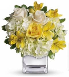 Silver Sunrise. An arrangement by Avenue Flowers and Gifts. Silver Sunrise. An arrangement by Avenue Flowers and Gifts.