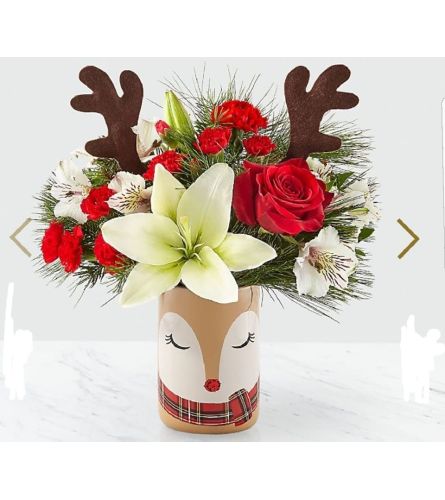 Rudolph's Surprise. An arrangement by Avenue Flowers and Gifts.