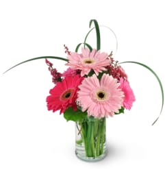 Think Pink. An arrangement by Avenue Flowers and Gifts. Think Pink. An arrangement by Avenue Flowers and Gifts.