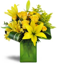 Sunshine and Citrus™. An arrangement by Avenue Flowers and Gifts. Sunshine and Citrus™. An arrangement by Avenue Flowers and Gifts.