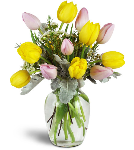Too Too Tulips!™. An arrangement by Avenue Flowers and Gifts. Delight them with a lovely mix of yellow and pink tulips arranged in a glass vase..