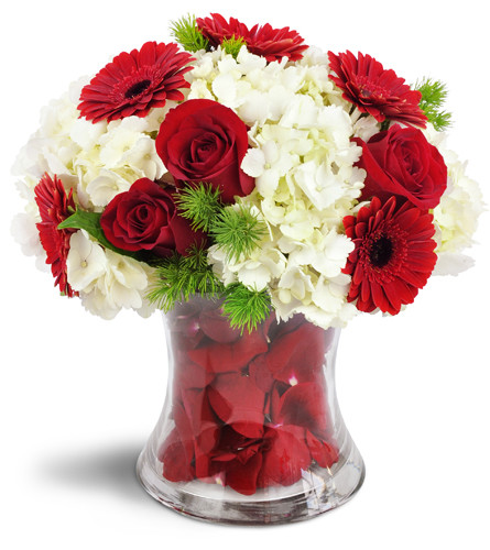 Indulgent Love™. An arrangement by Avenue Flowers and Gifts. Red roses and red Gerbera daisies are arranged with white hydrangea in a unique...