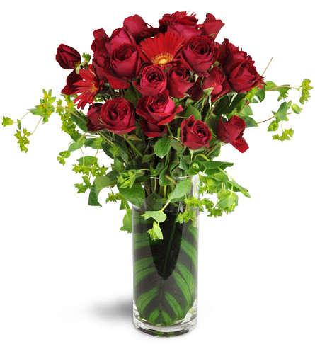 Everlasting Romance™. An arrangement by Avenue Flowers and Gifts. Treat them to red spray roses and Gerbera daisies in an elegant glass vase..