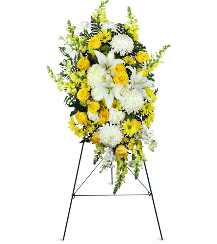 Golden Slumber for Sympathy™. An arrangement by Avenue Flowers and Gifts. Impressive commercial mums, yellow snapdragons, white lilies, and sweet...
