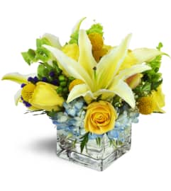 Sweet Seaside™. An arrangement by Avenue Flowers and Gifts. Sweet Seaside™. An arrangement by Avenue Flowers and Gifts.