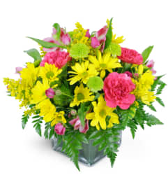 Day at the Park™. An arrangement by Avenue Flowers and Gifts. Day at the Park™. An arrangement by Avenue Flowers and Gifts.