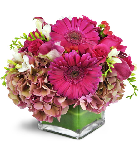 Magic in Magenta™. An arrangement by Avenue Flowers and Gifts. Gerbera daisies, roses, calla lilies, and more are arranged in a glass vase..