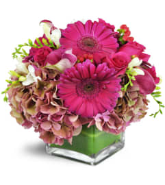 Magic in Magenta™. An arrangement by Avenue Flowers and Gifts. Magic in Magenta™. An arrangement by Avenue Flowers and Gifts.
