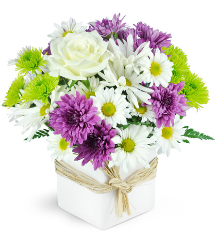 Enchanting Maui. An arrangement by Avenue Flowers and Gifts. Beautiful white blooms and vivid chrysanthemums are arranged in a glass vase and tied...