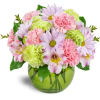 The Spring Forward Bouquet™ - Premium. An arrangement by Avenue Flowers and Gifts. Pastel pink and green carnations, daisies, alstroemeria, and...