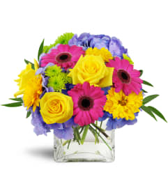 Blooming Medley™. An arrangement by Avenue Flowers and Gifts. Blooming Medley™. An arrangement by Avenue Flowers and Gifts.