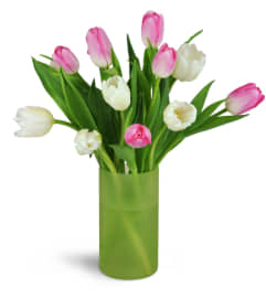 Spring Breezes Tulip Bouquet™. An arrangement by Avenue Flowers and Gifts. Spring Breezes Tulip Bouquet™. An arrangement by Avenue Flowers and Gifts.