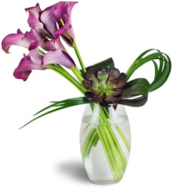 Royal Grace™. An arrangement by Avenue Flowers and Gifts. Royal Grace™. An arrangement by Avenue Flowers and Gifts.