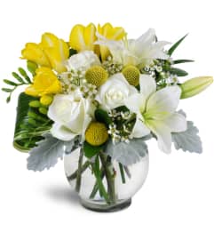 Soothing Blooms™. An arrangement by Avenue Flowers and Gifts. Soothing Blooms™. An arrangement by Avenue Flowers and Gifts.