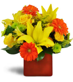Summer Splash™. An arrangement by Avenue Flowers and Gifts. Summer Splash™. An arrangement by Avenue Flowers and Gifts.