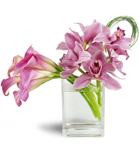 Twilight Delight™. An arrangement by Avenue Flowers and Gifts. Five blushing pink Calla lilies sway gracefully while five pink Cymbidium orchids...
