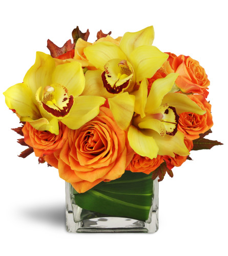 Golden Morning™ - Deluxe. An arrangement by Avenue Flowers and Gifts. Yellow cymbidium orchids and large orange rose blooms are arranged in an...