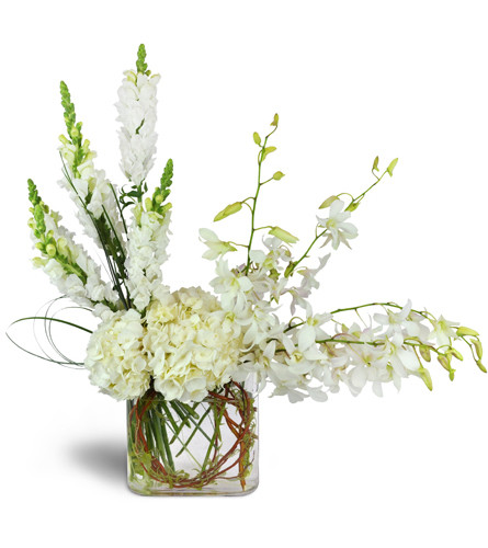 Elegant Observations™. An arrangement by Avenue Flowers and Gifts. Hydrangea, snapdragon, dendrobium orchids, and more are arranged in a luxurious...