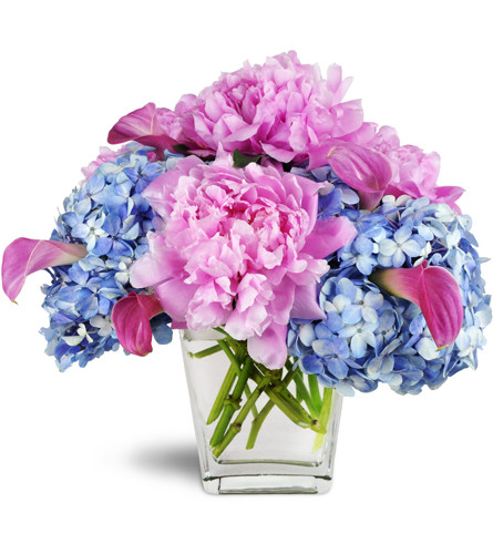 Love's Blessing Peony Vase™. An arrangement by Avenue Flowers and Gifts. Blue hydrangea, pink peonies, and pink mini calla lilies are arranged...