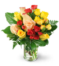 Rose Delight. An arrangement by Avenue Flowers and Gifts. Rose Delight. An arrangement by Avenue Flowers and Gifts.