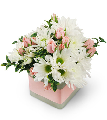 Precious Pinks. An arrangement by Avenue Flowers and Gifts. Surprise them with pink spray roses, white chrysanthemums, and oregonia topped off...