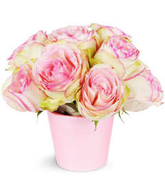 For My Sweetie. An arrangement by Avenue Flowers and Gifts. For My Sweetie. An arrangement by Avenue Flowers and Gifts.