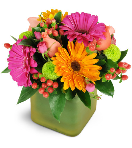 Hearty Hurrah!™. An arrangement by Avenue Flowers and Gifts. Celebrate them with a joyful bouquet of Gerbera daisies, roses, and more..