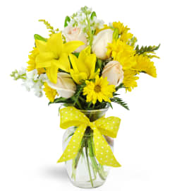 Smile a Mile Daisy Vase™. An arrangement by Avenue Flowers and Gifts. Smile a Mile Daisy Vase™. An arrangement by Avenue Flowers and Gifts.