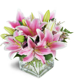 Pink Delight™. An arrangement by Avenue Flowers and Gifts. Pink Delight™. An arrangement by Avenue Flowers and Gifts.