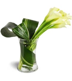 Classic Elegance Calla Vase™. An arrangement by Avenue Flowers and Gifts.