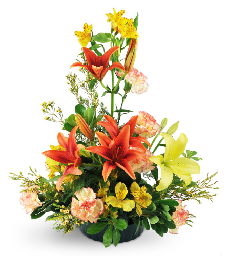 Among The Stars. An arrangement by Avenue Flowers and Gifts. Yellow and orange lilies are beautifully arranged with carnations, alstroemeria,...