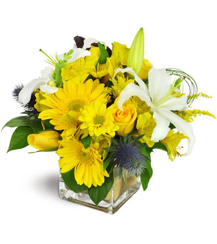 Gold Rush™. An arrangement by Avenue Flowers and Gifts. Surprise them with sunny yellow Gerbera daisies, roses, alstroemeria, and more..