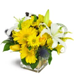 Gold Rush™. An arrangement by Avenue Flowers and Gifts. Gold Rush™. An arrangement by Avenue Flowers and Gifts.