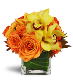 Golden Morning™. An arrangement by Avenue Flowers and Gifts.